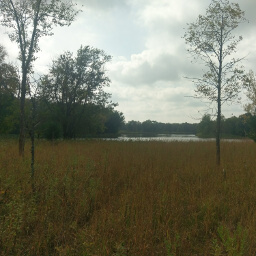 Looking across the meadow to the convergence of the Crow Wing and Mississippi Rivers